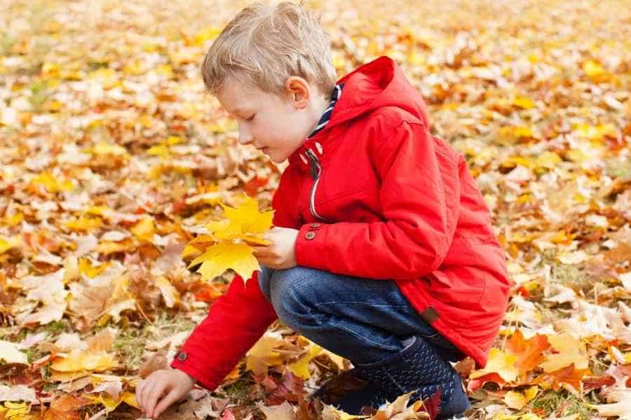 child playing in fall leaves