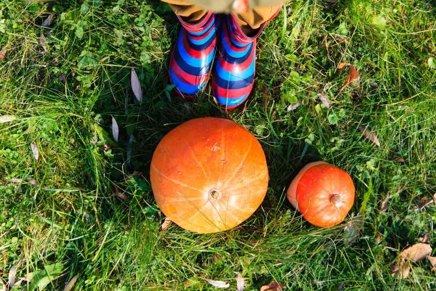 frugal fall bucket list