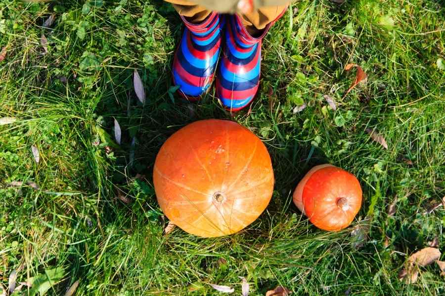 woman standing in a pumpkin patch