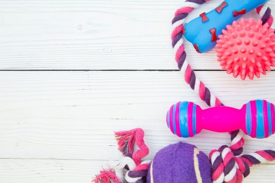 a collection of brightly colored pet supplies